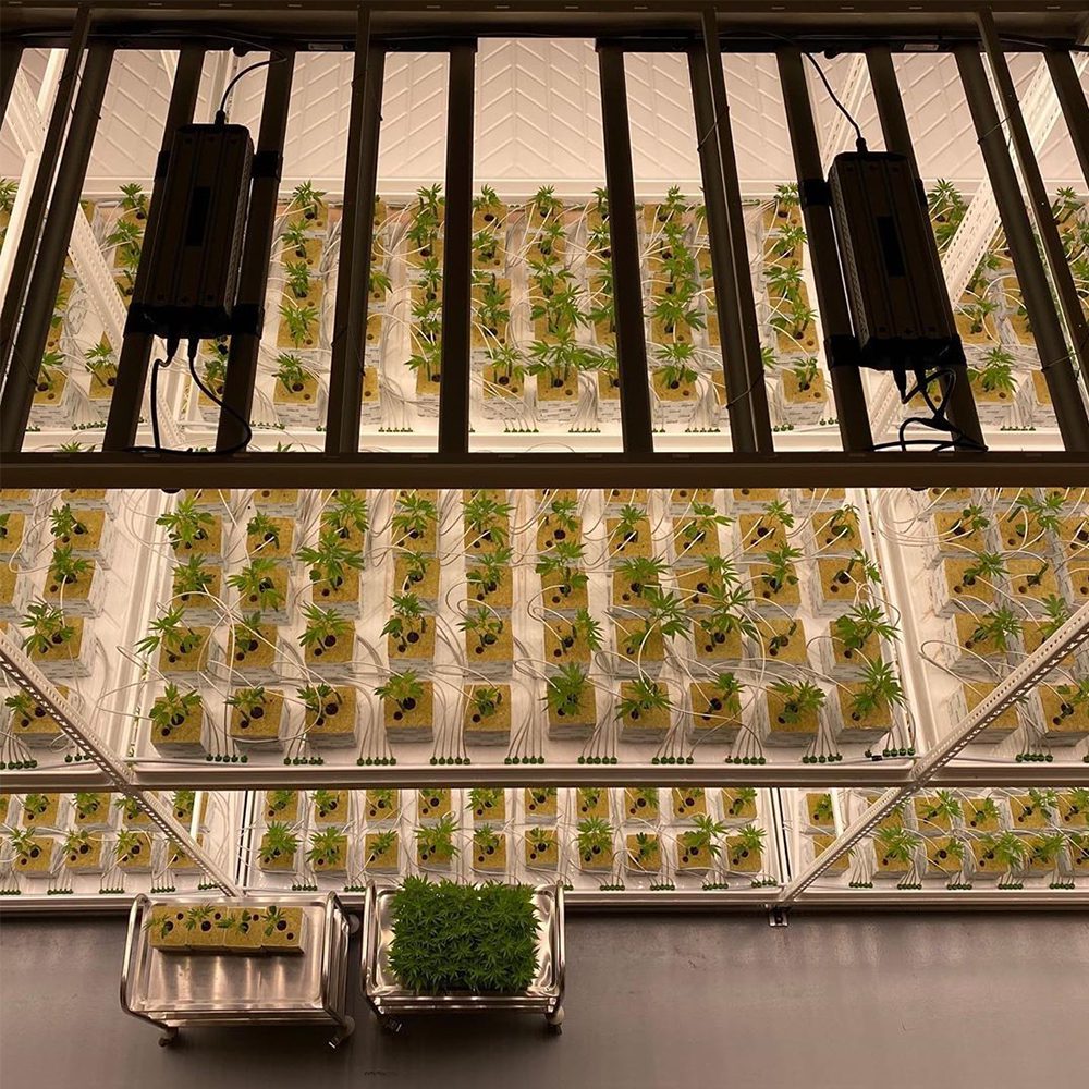How Pipp Mobile Storage Systems Grew Into The Horticulture Industry