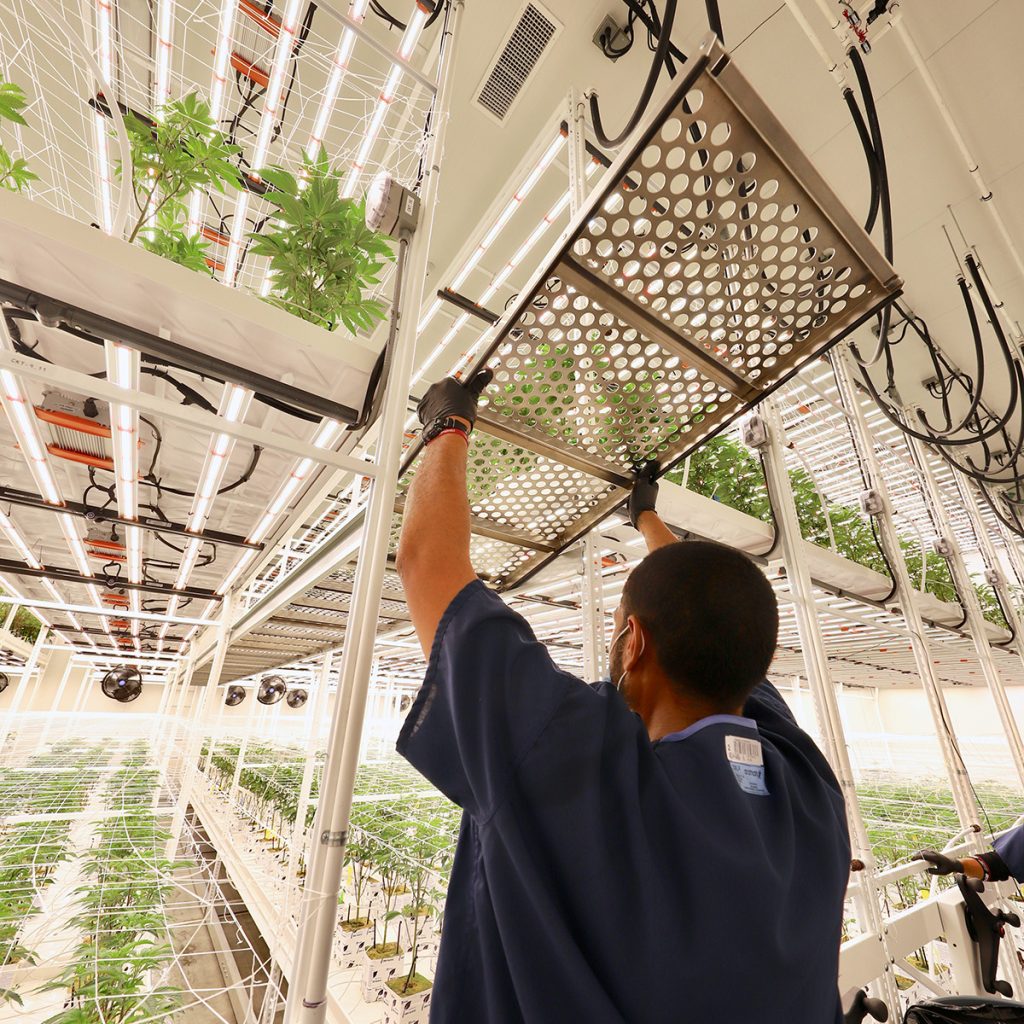 Pipp Horticulture Introduces New ELEVATE™ Platform System