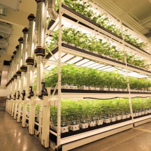 6 Things to Consider When Selecting a Vertical Racking Provider
