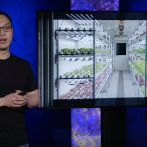 Are Indoor Vertical Farms The Future Of Agriculture?