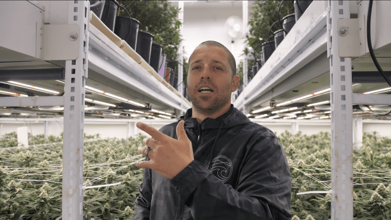 The Effects of Airflow to Your Canopy