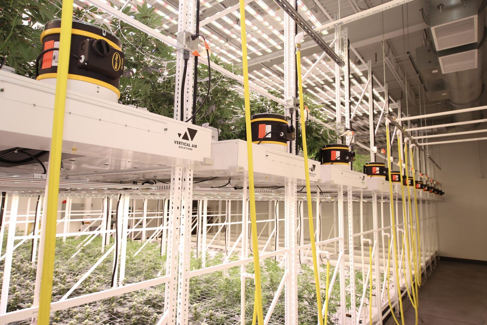 Sanitizing and Cleaning the Cannabis Grow Room Part III: HVAC & Air Systems