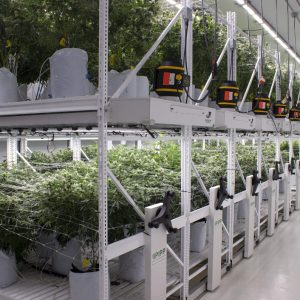 Sanitization of Your Vertical Farming Cultivation Facility