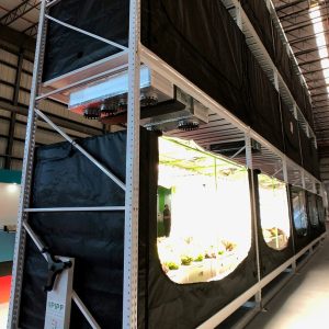 Our Tallest Cannabis Grow Rack Yet