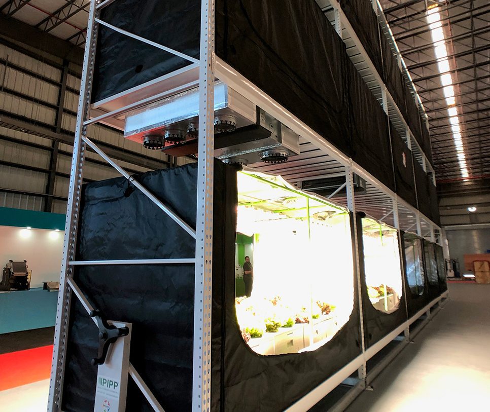 Our Tallest Cannabis Grow Rack Yet