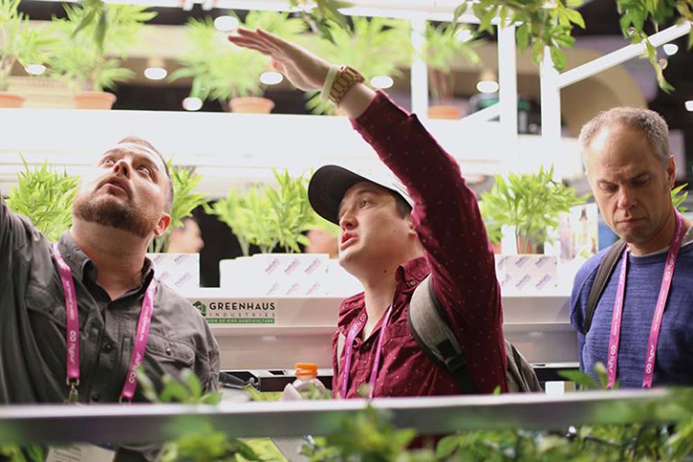 Pipp Horticulture Cannabis Grow