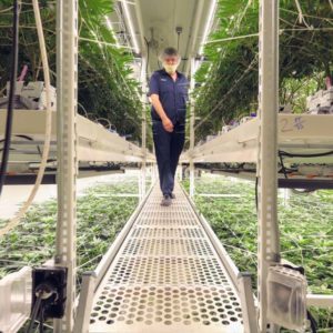 Keep Things Moving with Pipp Horticulture&rsquo;s Mobile Vertical Grow Racks