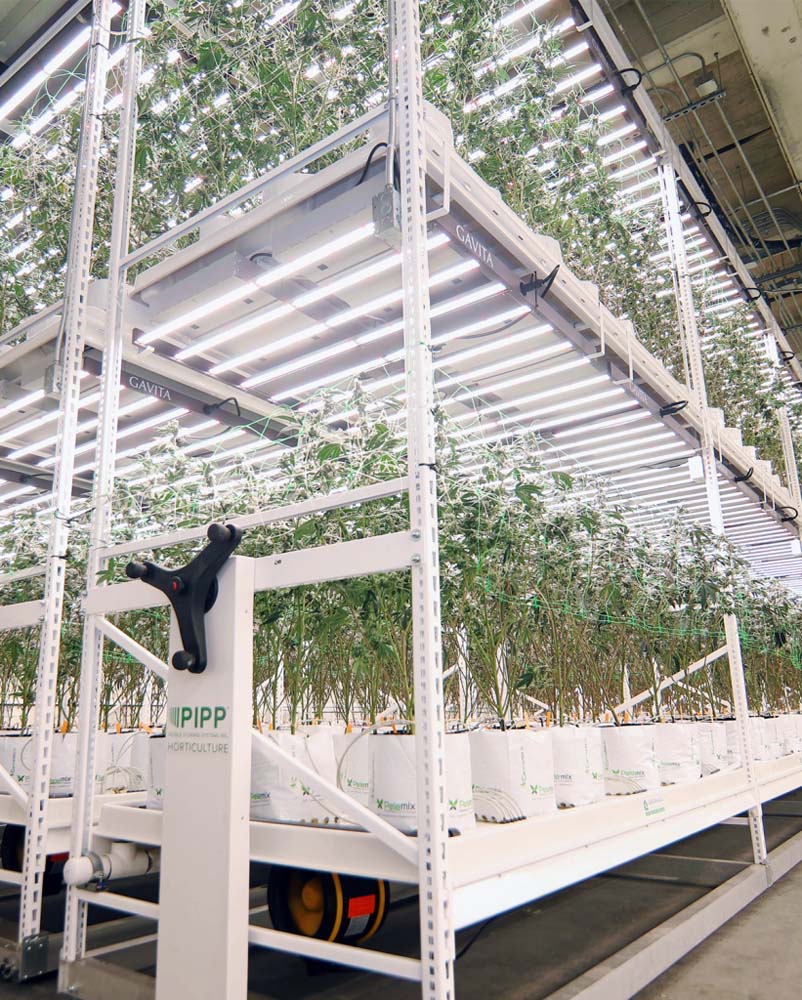 Oakfruitland: Vertical Farming Equipment and Components of a Vertical Grow System