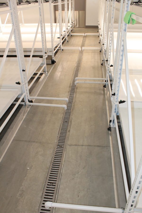 Drain Construction Rack Floor Drain Between Two Mobile Racks - Pipp Horticulture