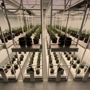 TRAK-FREE™ Mobile Carriage System - Project Leela Mobile Vertical Grow System