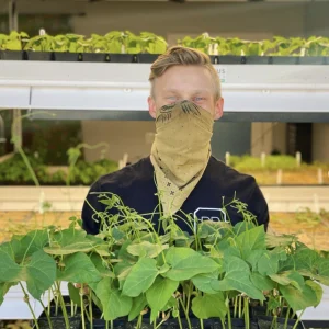 Pipp Horticulture Mobile Vertical Grow Racks - Growing Micro-Greens at Revival Roots