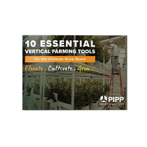10 Essential Tools