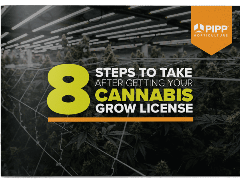 8 Steps to Take After Getting Your Cannabis Grow License