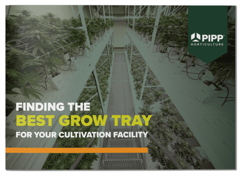 Finding the Best Grow Tray for Your Cultivation Facility