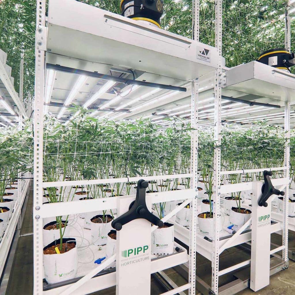 Mobile Carriages for Vertical Grow Racks - Pipp Horticulture