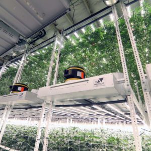 Vertical Air Solutions &ndash; Dry Ice Test for Cultivation Airflow w/ James Cunningham