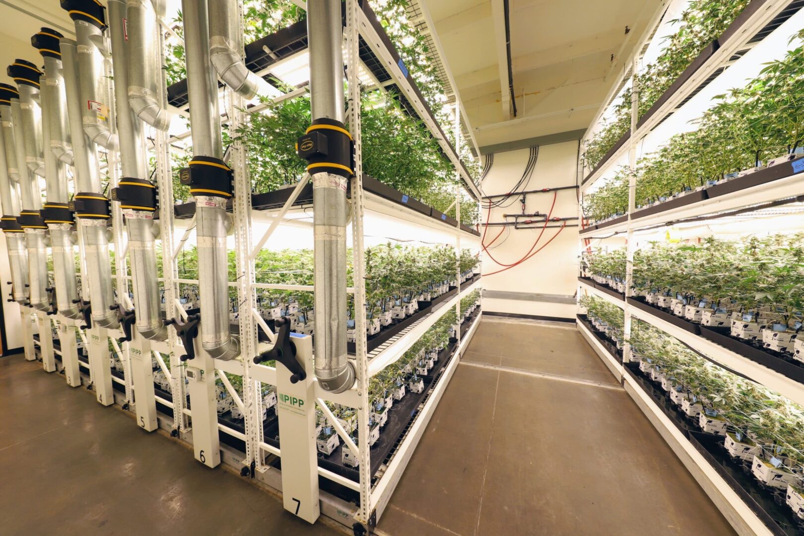 Grow Room Design Services - Made In The USA - Pipp Horticulture