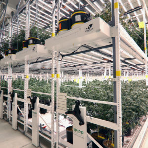 Creating Over 25,000 Sq. Ft. Using Vertical Farming – Trulieve Spotlight
