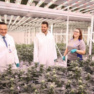 Space-Saving Solutions to Increase Profits with Michael Williamson