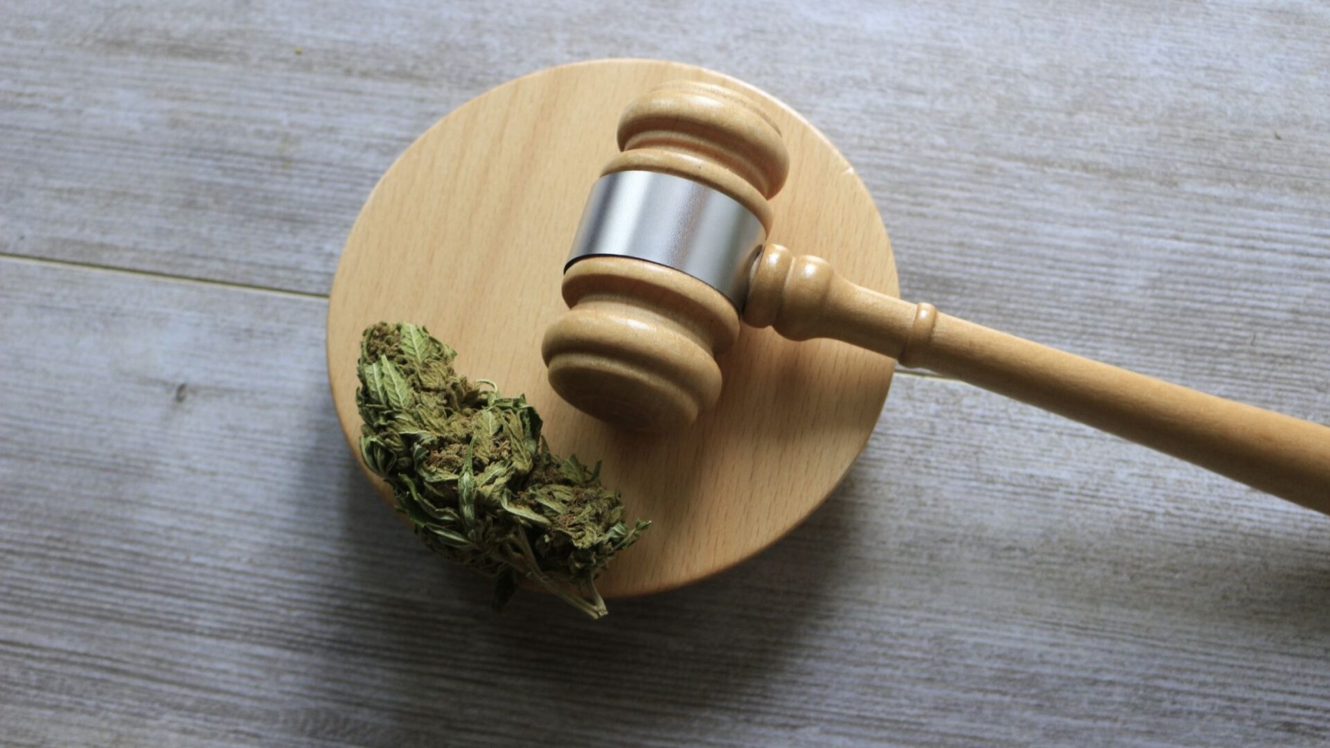 8 Important Steps To Take After Receiving Your Commercial Cannabis Grow License