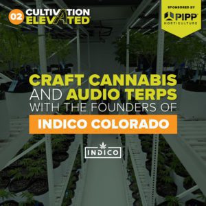 Episode 2: Craft Cannabis and Audio Terps with the Founders of Indico Colorado