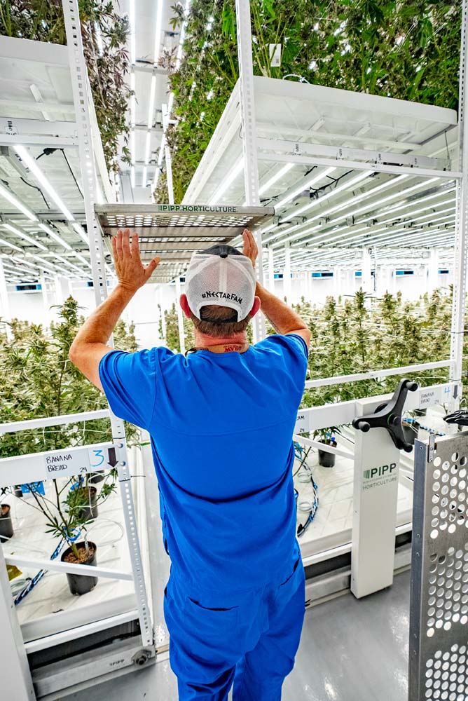 Mobile Vertical Grow Racks for Cannabis
