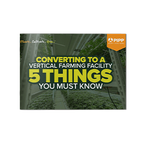 5 Things You Must Know