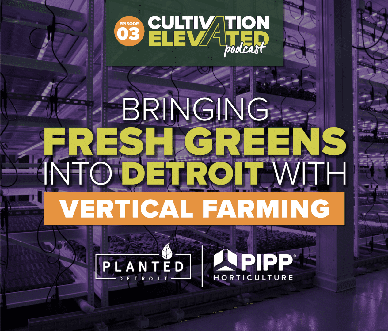 Episode 3: Bringing Fresh Greens into Detroit with Vertical Farming