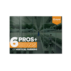 6 Pros & Cons Ebook