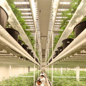 Turning Square Footage Into Cubic Footage with Claybourne Company