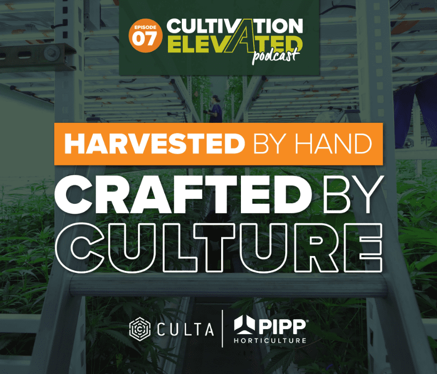Harvested by hand Crafted by Culture
