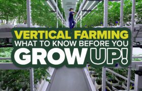 Vertical Farming-What to Know Before You Grow UP