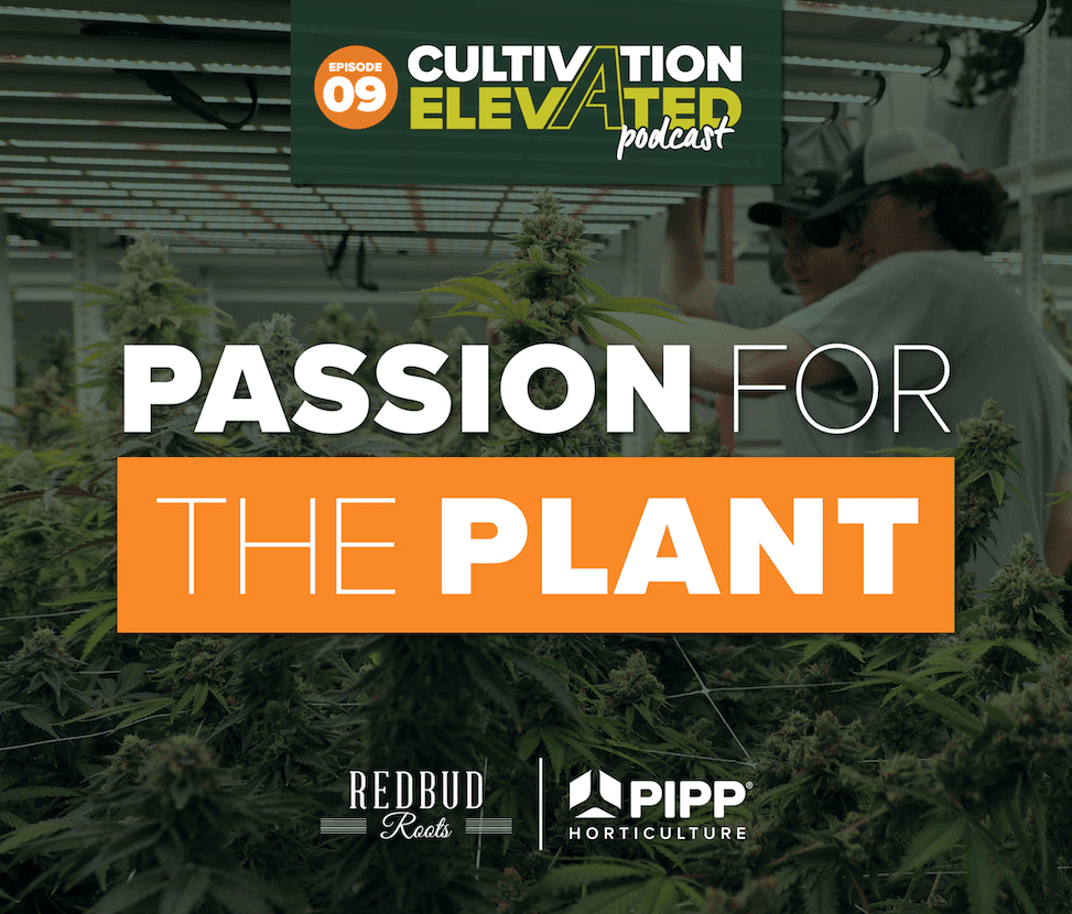 Passion For The Plant