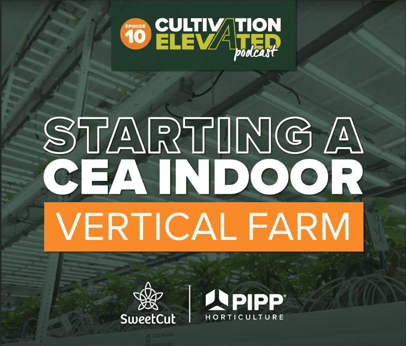Episode 10: Starting a CEA Indoor Vertical Farm with Sweet Cut