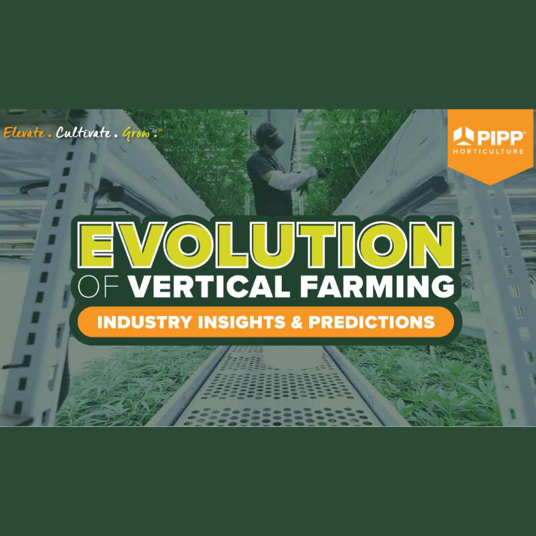 Evolution of vertical farming