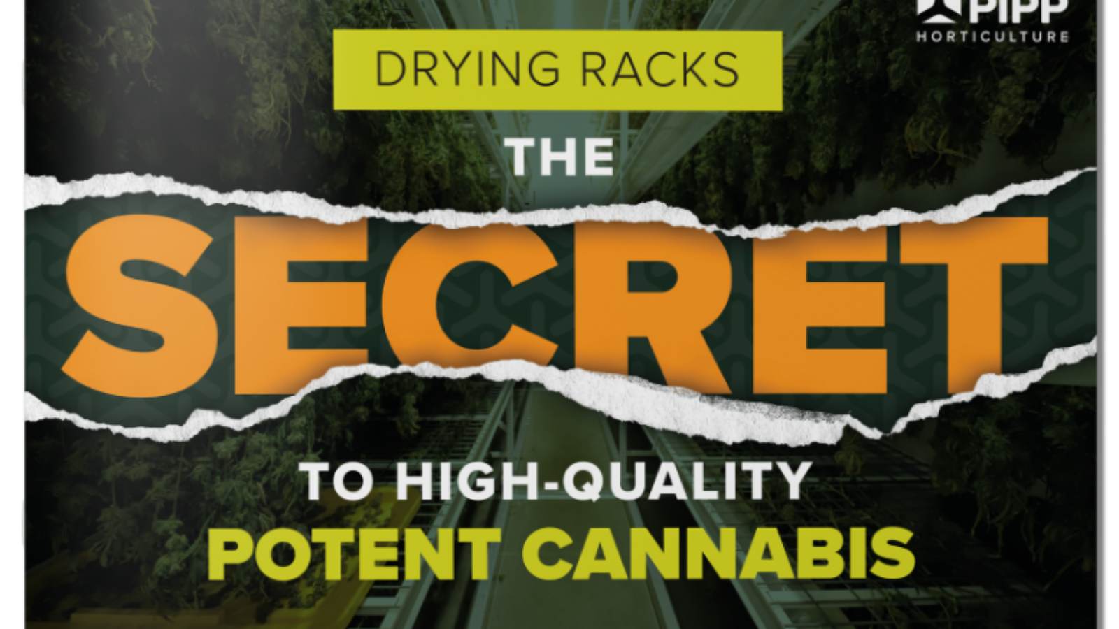 Drying Racks: The Secret to High-Quality, Potent Cannabis
