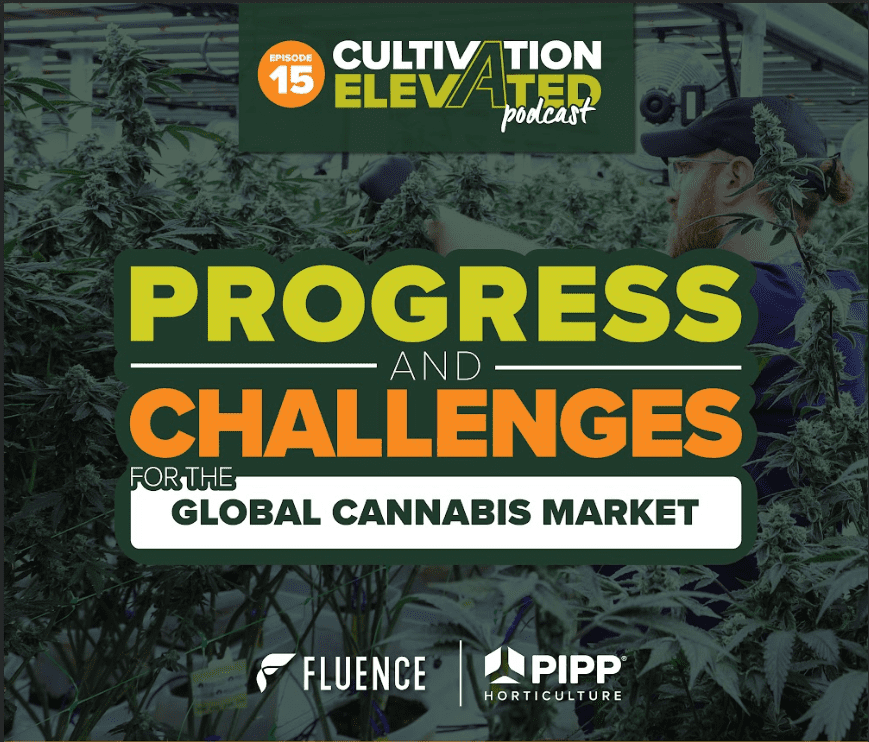 Progress And Challenges For The Global Cannabis Market