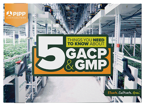 5 Things You Need To Know About GACP GMP