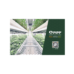 International Pipp Brochure