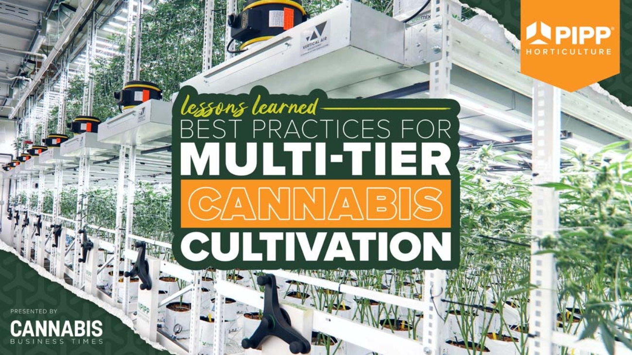Best Practices For Multi - tier Cannabis Cultivation