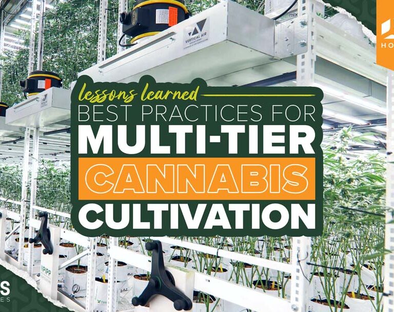 Best Practices For Multi - tier Cannabis Cultivation