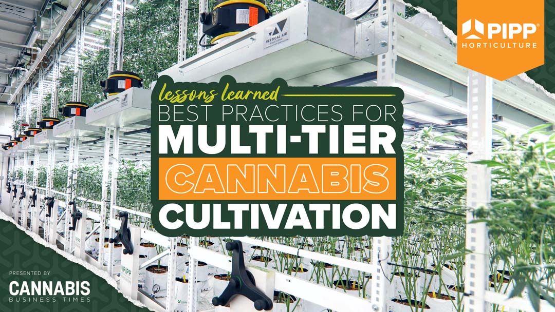 Best Practices For Multi - tier Cannabis Cultivation
