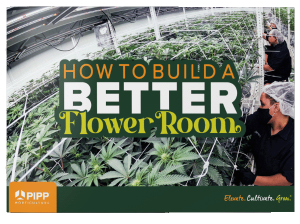 How to Build a Better Flower Room