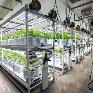 Holistic Industries 2 Tiers of Pipp Hort Racks