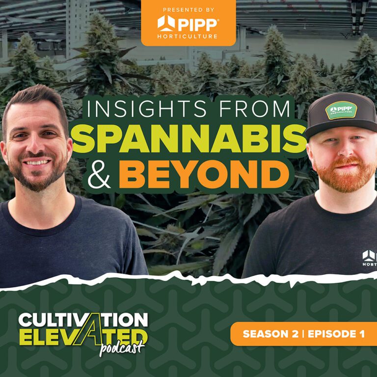 Pipp Podcast: Season 2 | Episode 1