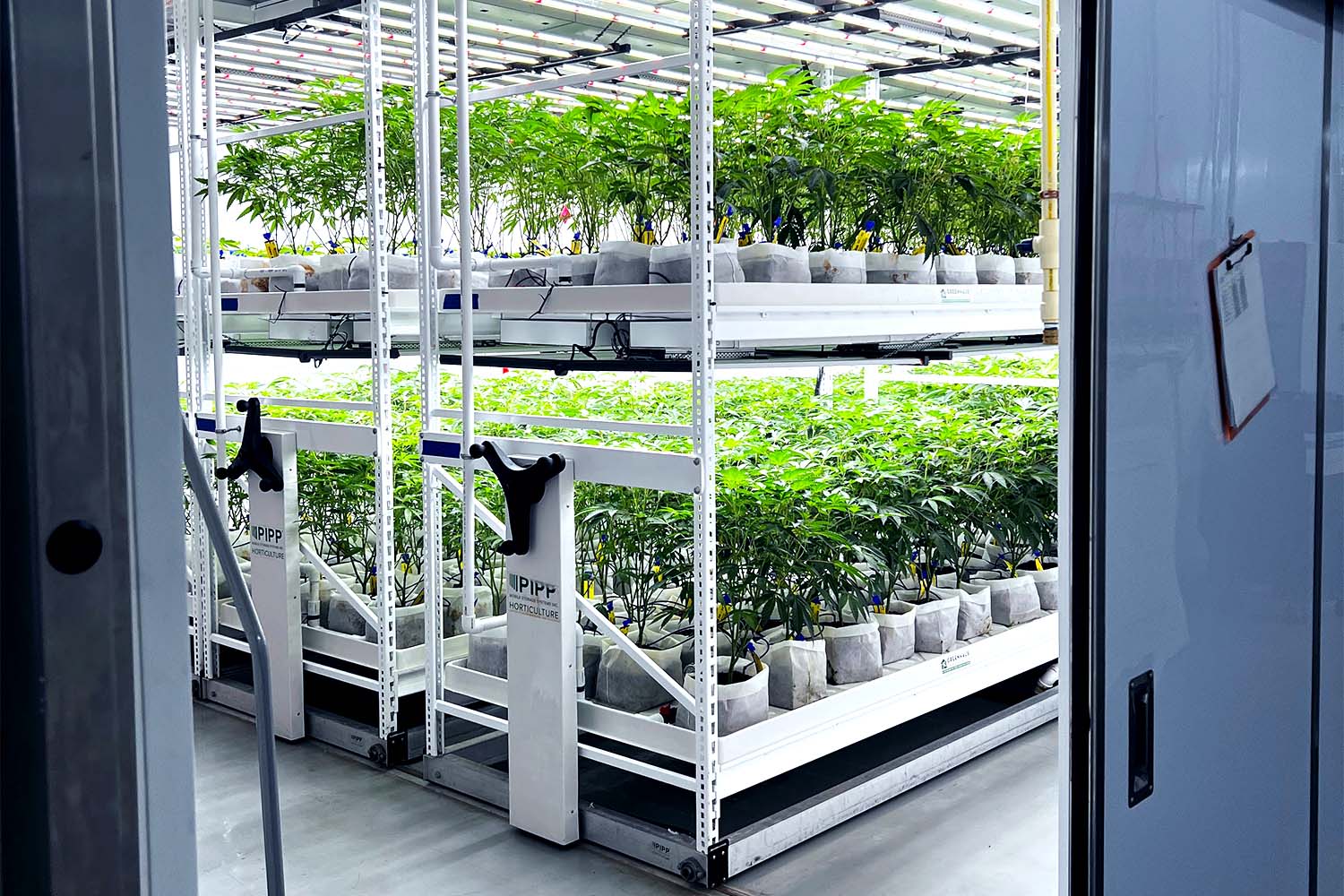 Multi-Tier Grow Racks by Pipp Horticulture at Culta