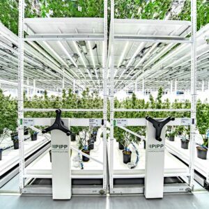 Two Level Grow Benches by Pipp Horticulture at Freedom Green