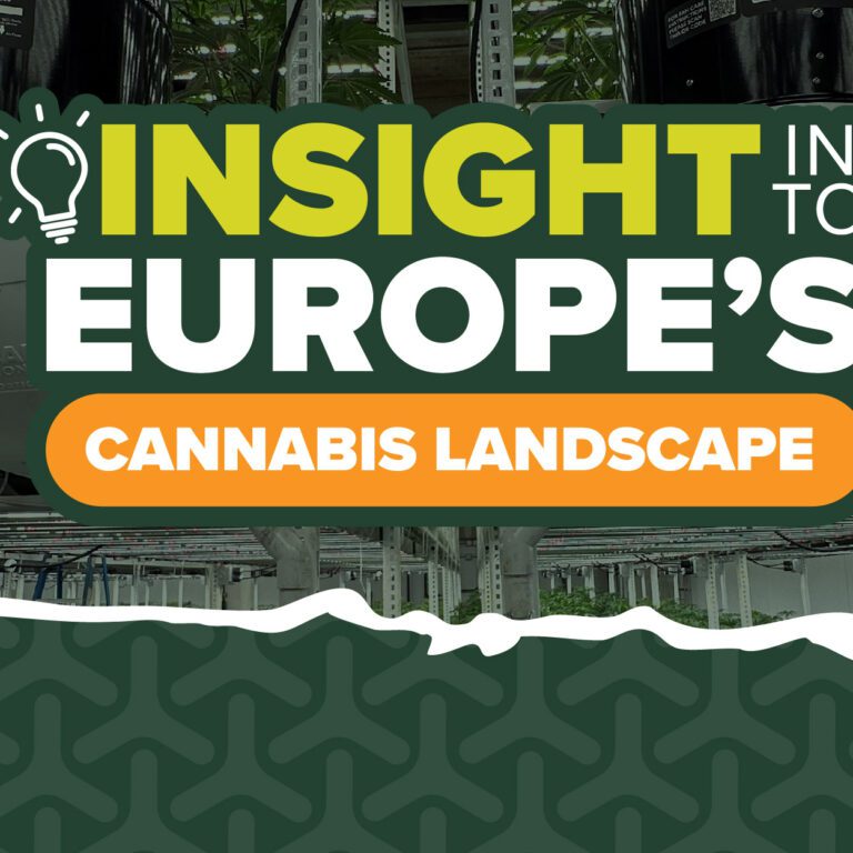 Insights on Europe's Cannabis Market