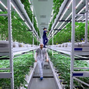 Vertical Farming