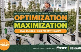 OptimizationVSMazimizationWebinar